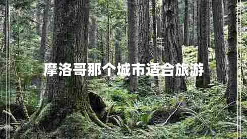 摩洛哥那个城市适合旅游