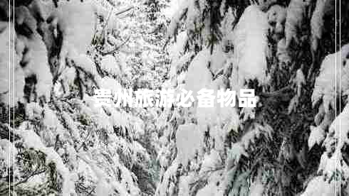 贵州旅游必备物品