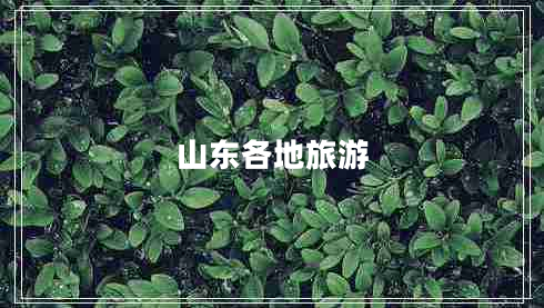 山东各地旅游