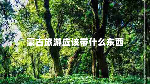 蒙古旅游应该带什么东西