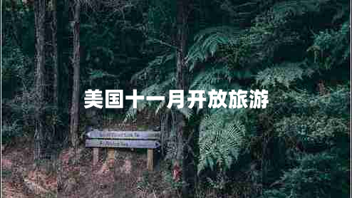 美国十一月开放旅游