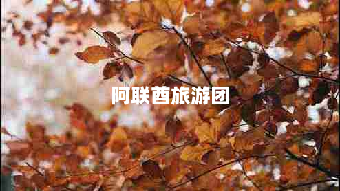 阿联酋旅游团