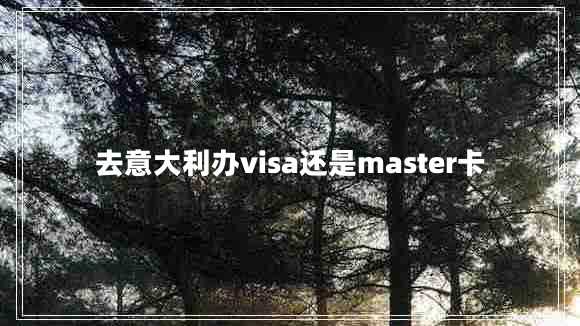 去意大利办visa还是master卡