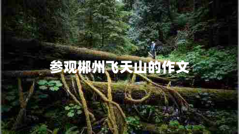 参观郴州飞天山的作文