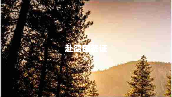 赴德国签证 赴德国签证