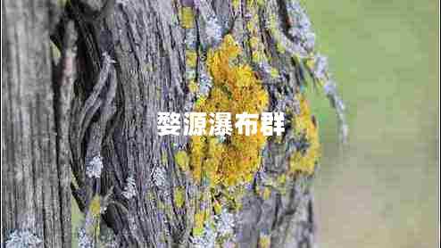 婺源瀑布群
