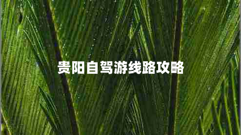 贵阳自驾游线路攻略