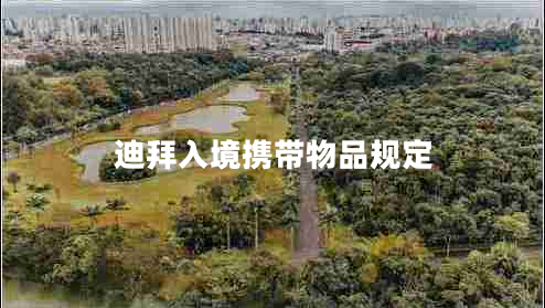 迪拜入境携带物品规定