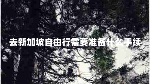 去新加坡自由行需要准备什么手续