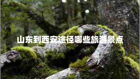 山东到西安途径哪些旅游景点
