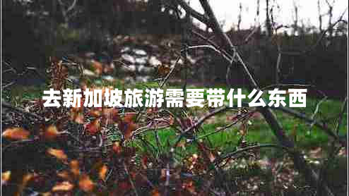 去新加坡旅游需要带什么东西
