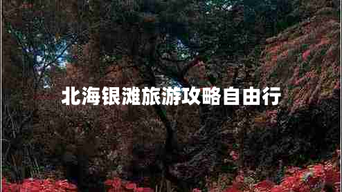 北海银滩旅游攻略自由行
