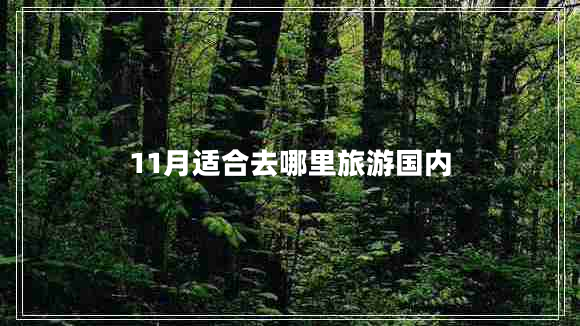 11月适合去哪里旅游国内