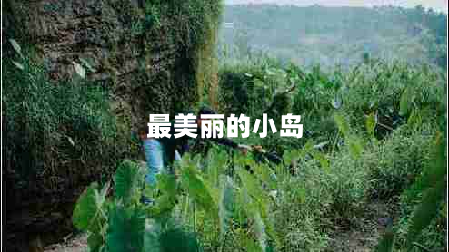最美丽的小岛