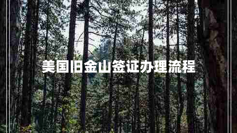 美国旧金山签证办理流程