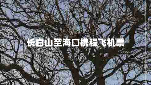 长白山至海口携程飞机票