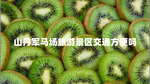 山丹军马场旅游景区交通方便吗