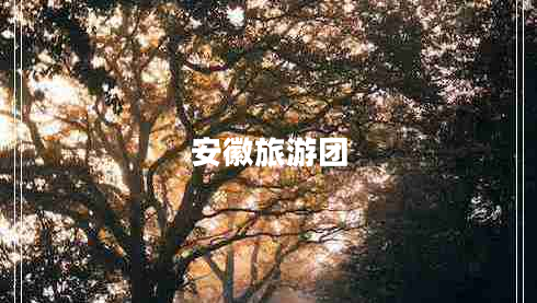 安徽旅游团