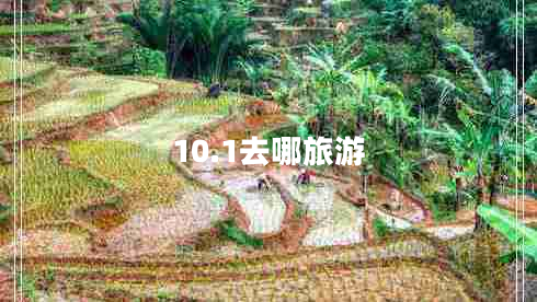 10.1去哪旅游