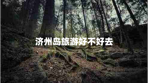 济州岛旅游好不好去