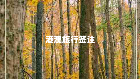 港澳旅行签注