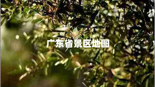 广东省景区地图