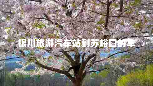 银川旅游汽车站到苏峪口的车