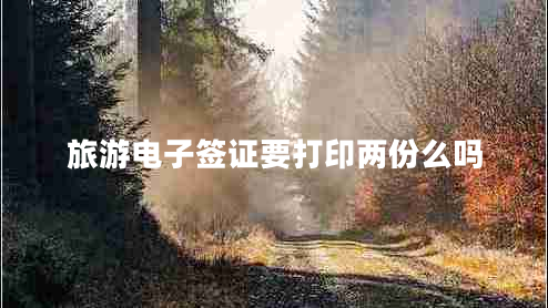 旅游电子签证要打印两份么吗
