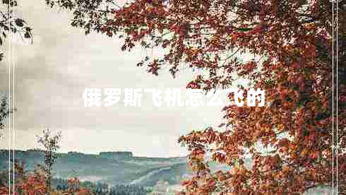 俄罗斯飞机怎么飞的