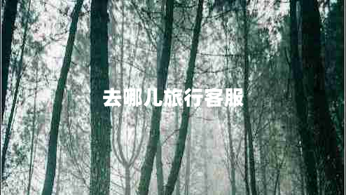 去哪儿旅行客服