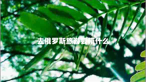 去俄罗斯旅游要带什么