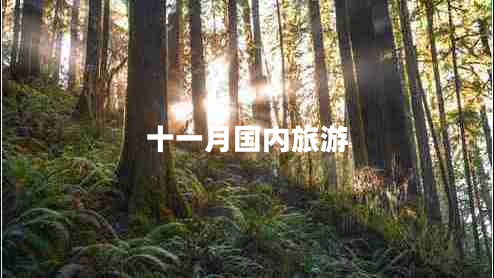 十一月国内旅游