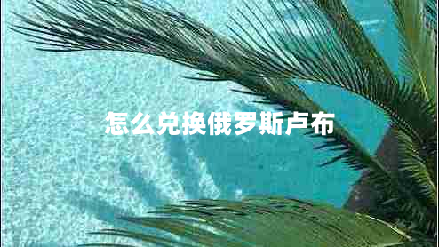 怎么兑换俄罗斯卢布