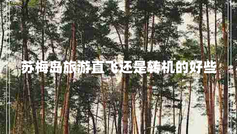 苏梅岛旅游直飞还是转机的好些