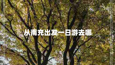 从南充出发一日游去哪