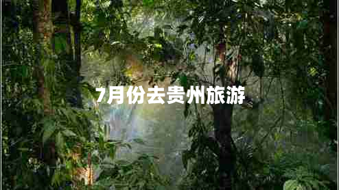 7月份去贵州旅游