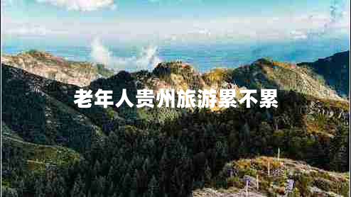 老年人贵州旅游累不累