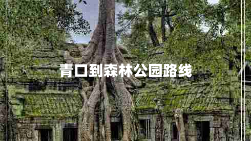 青口到森林公园路线