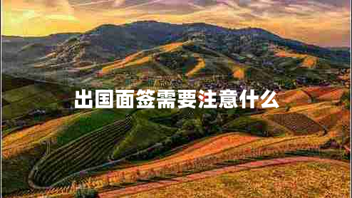出国面签需要注意什么