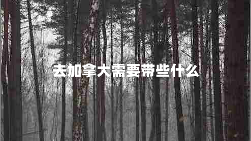 去加拿大需要带些什么