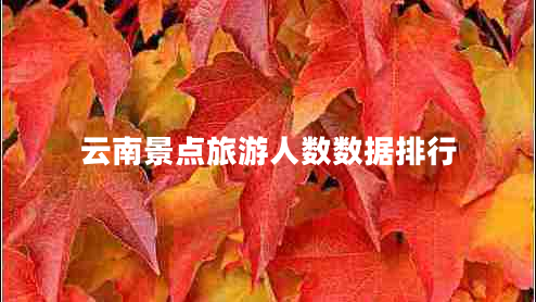 云南景点旅游人数数据排行 云南景点旅游人数数据排行