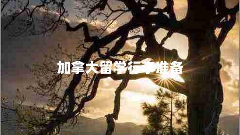 加拿大留学行李准备