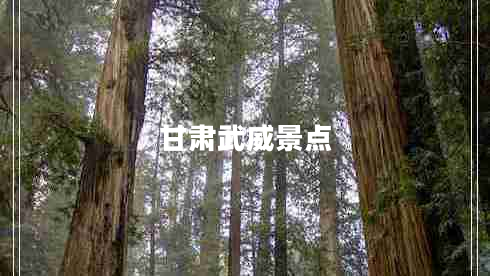 甘肃武威景点