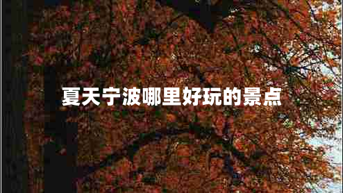 夏天宁波哪里好玩的景点 夏天宁波哪里好玩的景点