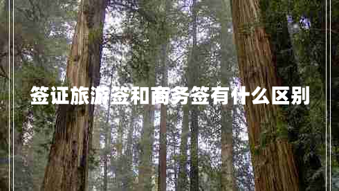 签证旅游签和商务签有什么区别