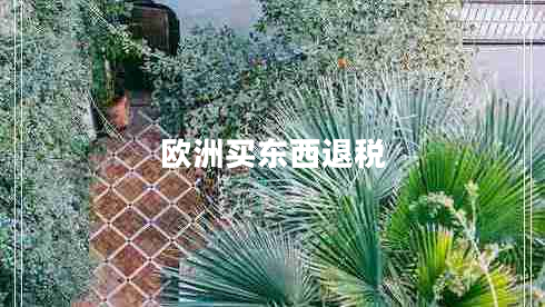 欧洲买东西退税