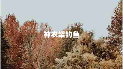 神农架钓鱼