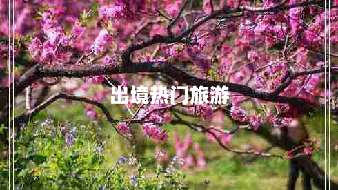 出境热门旅游