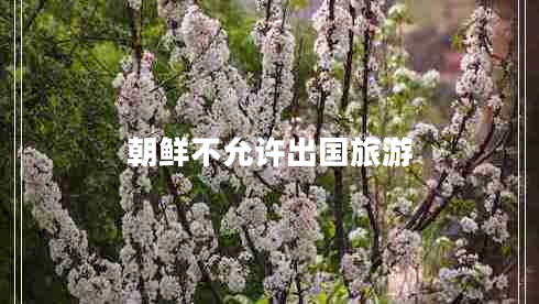 朝鲜不允许出国旅游