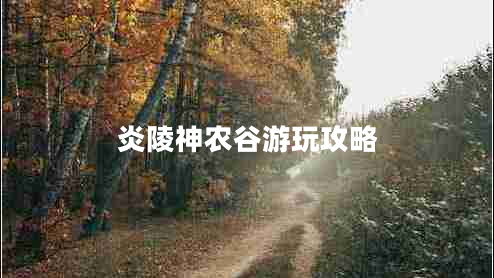 炎陵神农谷游玩攻略